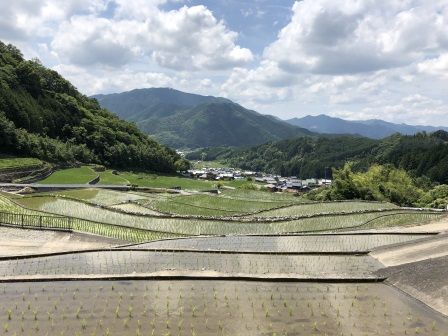 深野棚田10