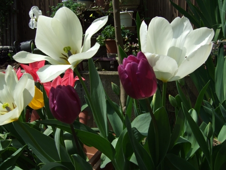 ���塼��å�