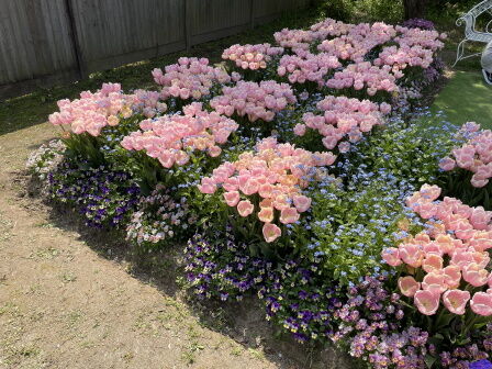 �٥�ե�����14