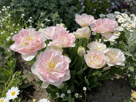 �٥�ե�����7