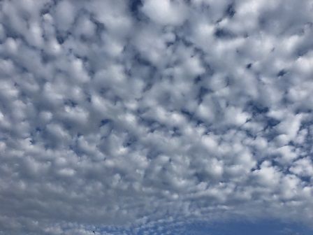 ��������2