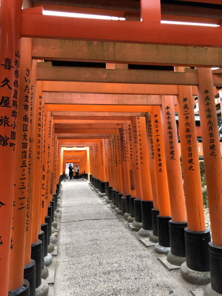 ����Ļ��2