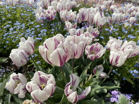 �٥�ե�����13