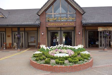 ���󥰥�å��奬���ǥ�