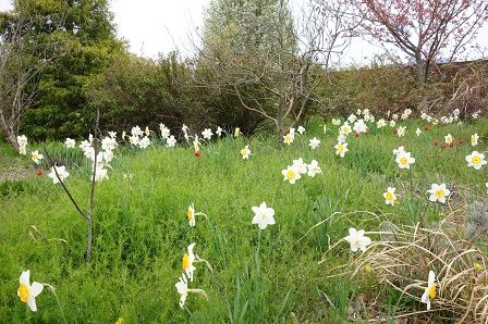 ���塼��å�8