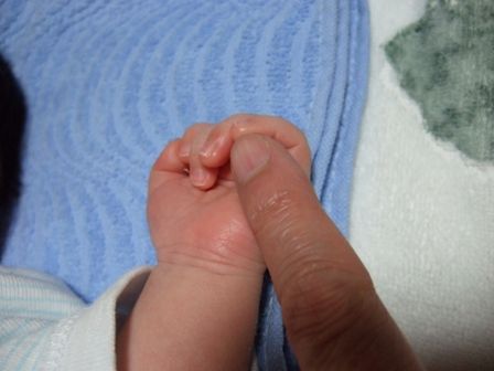 �֤����μ�