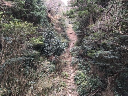 �����֥륫����2