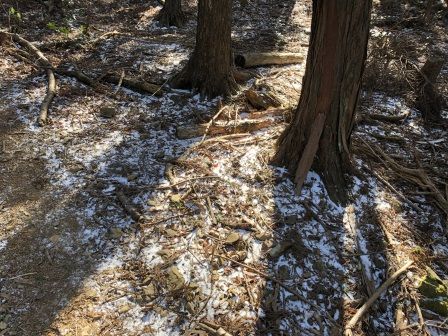 ����ī��