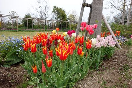 ���塼��å�1