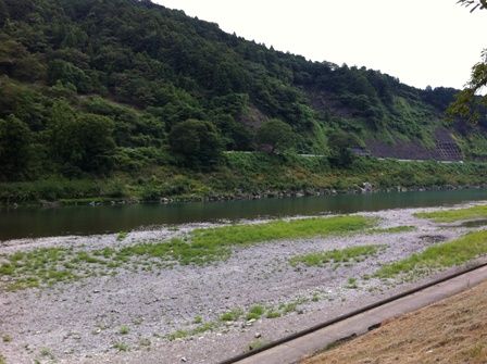 �ܥ�С��ѡ���