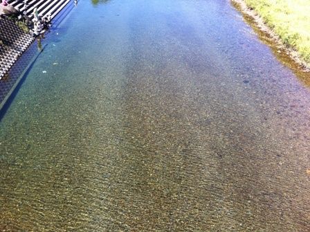 �޽�����