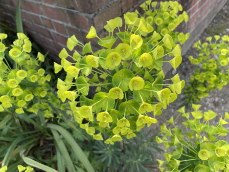 �٥�ե�����8