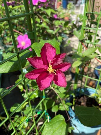 ����ޥ���4