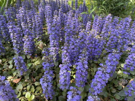 �٥�ե�����12