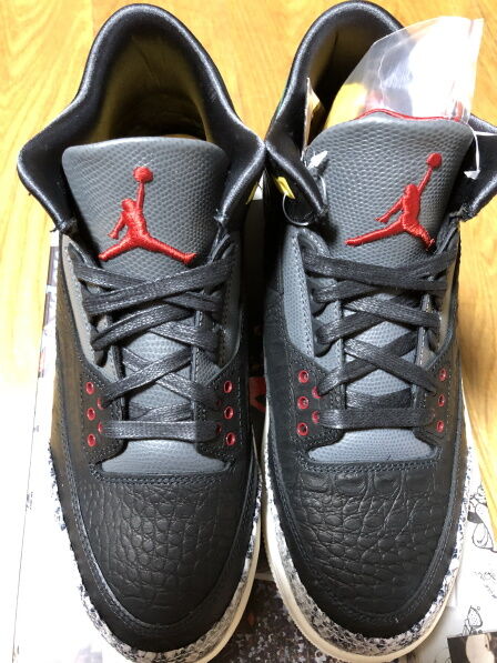 AJ3 animal6