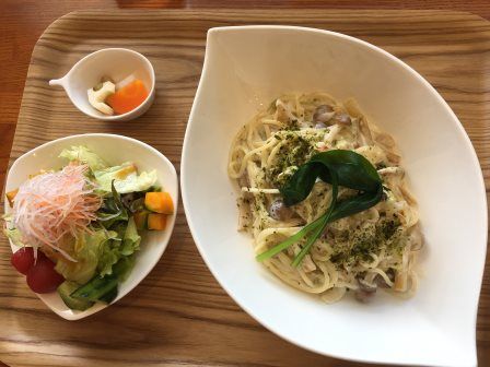 ���꡼��ѥ���