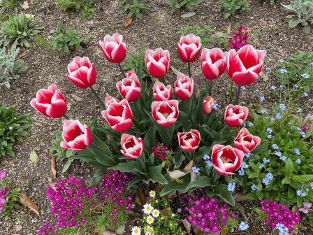 ���塼��å�3