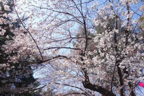 DSC04138