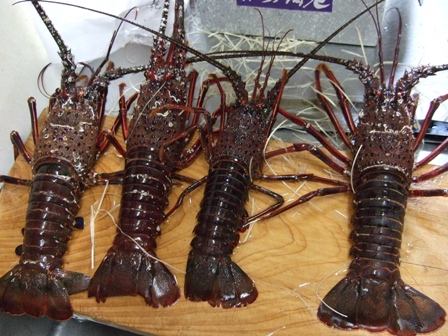 s��������