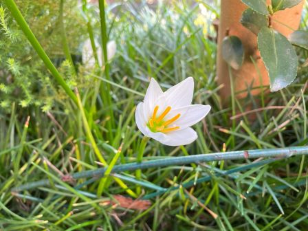 ���ޥ�����