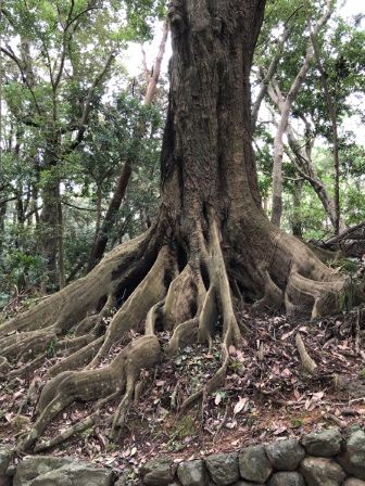 ��ɱ����