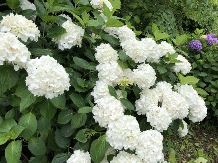 �󸫥�������4