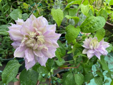 ����ޥ���2