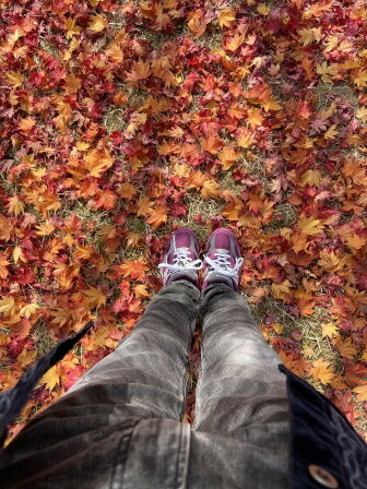 ��ǻ����4