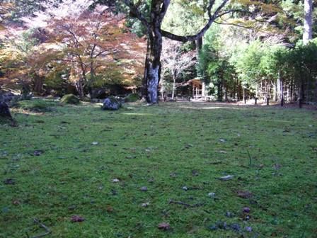 ��ȫ����