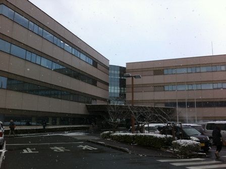 �ȵ�����