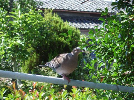 �����Х�