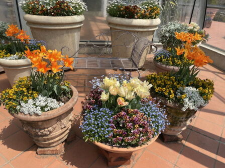 �٥�ե�����6