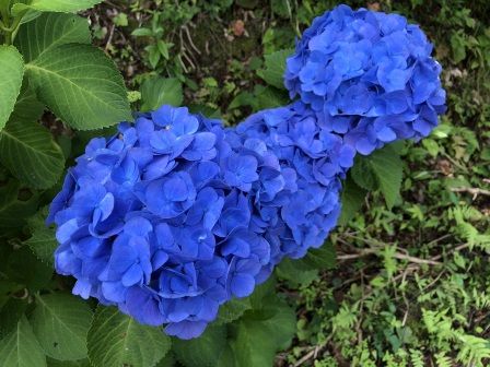 �󸫥�������2