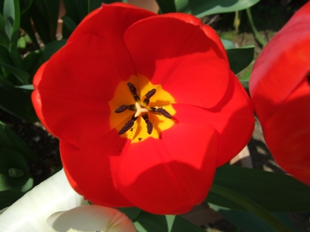 ���塼��å׼�