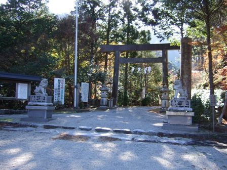 �����ȬȨ��