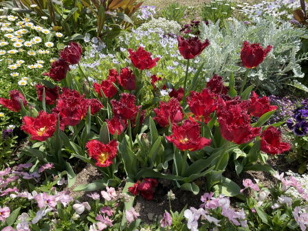 �٥�ե�����2