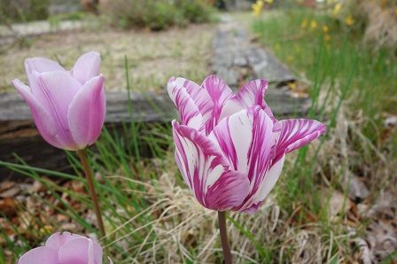 ���塼��å�5