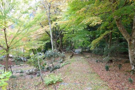 �ٱ�������