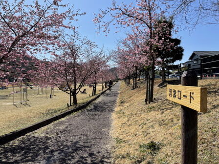 �ܥ�С����ź�2