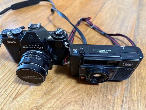 ¶ä±ö¥«¥á¥é2