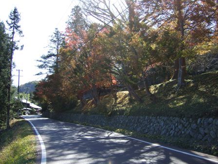 2011��ߤ���ƻ