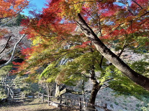 ���������3