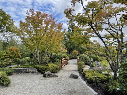 �ʥ����ܼ�9