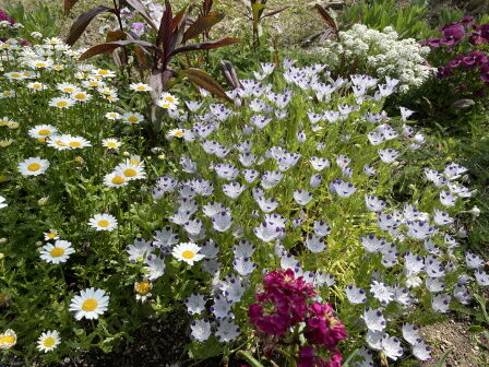 �٥�ե�����4