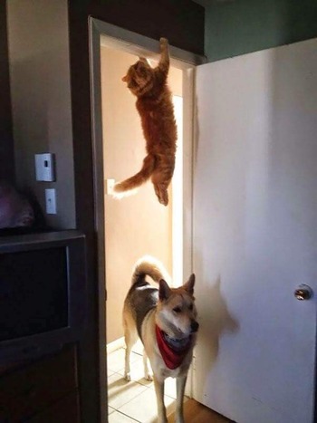 no title