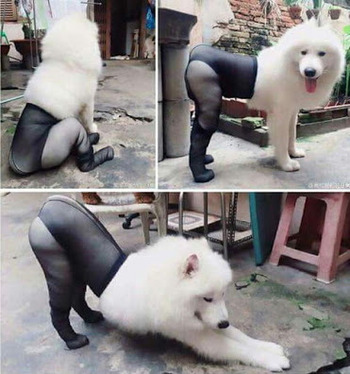no title