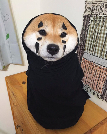 no title