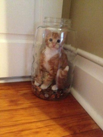 no title