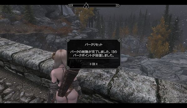 ScreenShot105(1)
