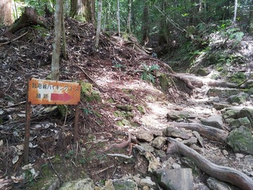IMG_20210808_103509